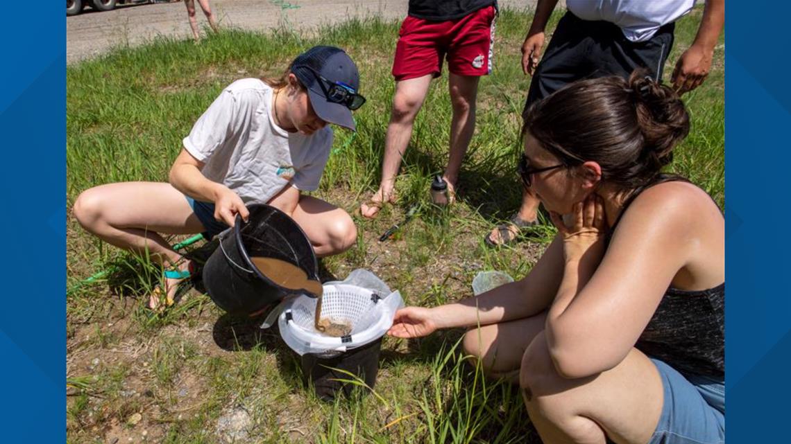 Kalispel Tribe Partners With Wsu For Archeological Excavation Krem