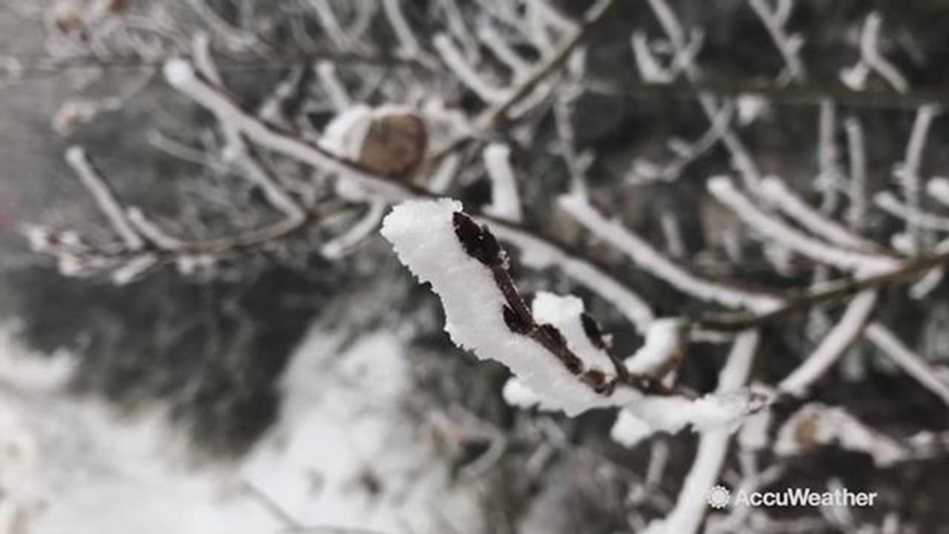 Take a look at this incredible rime icing taking place in Genesee, Colorado on Nov. 17.  This stunning video was captured by storm chaser, Reed Timmer.