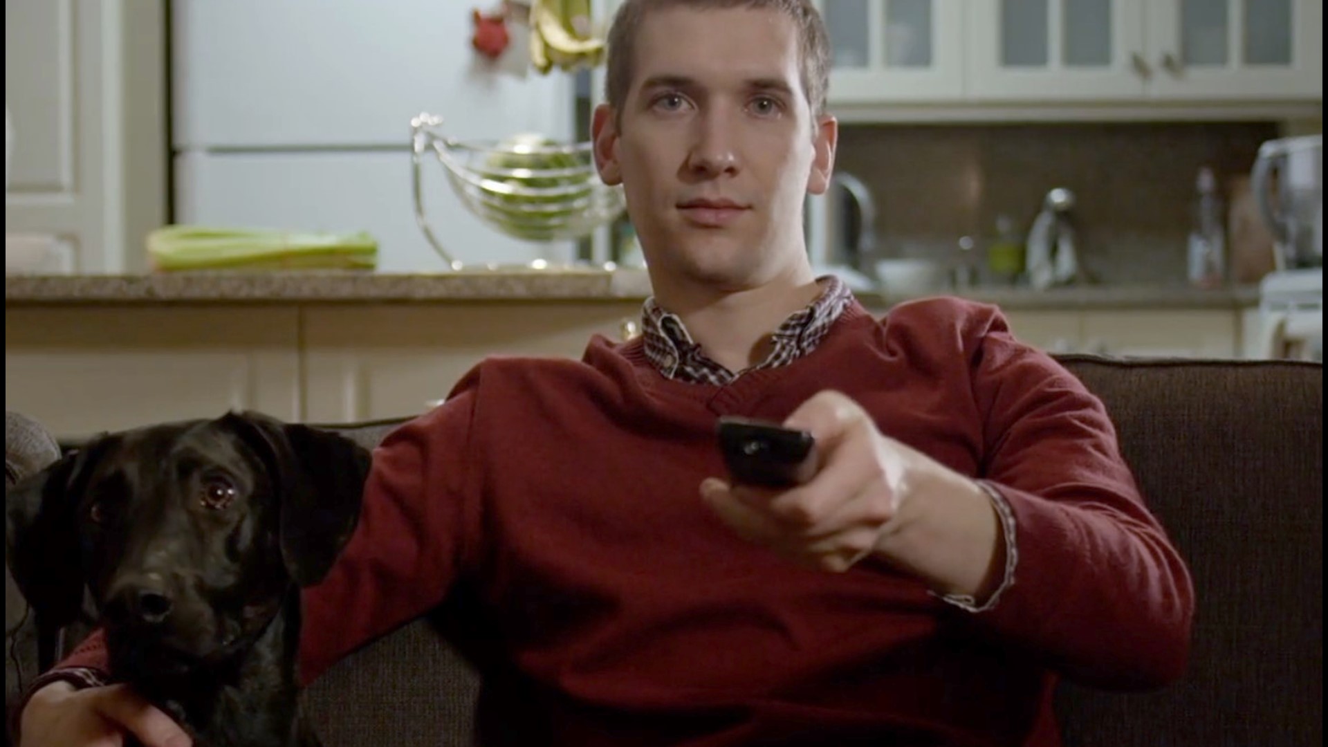 Do Dogs Understand Videos