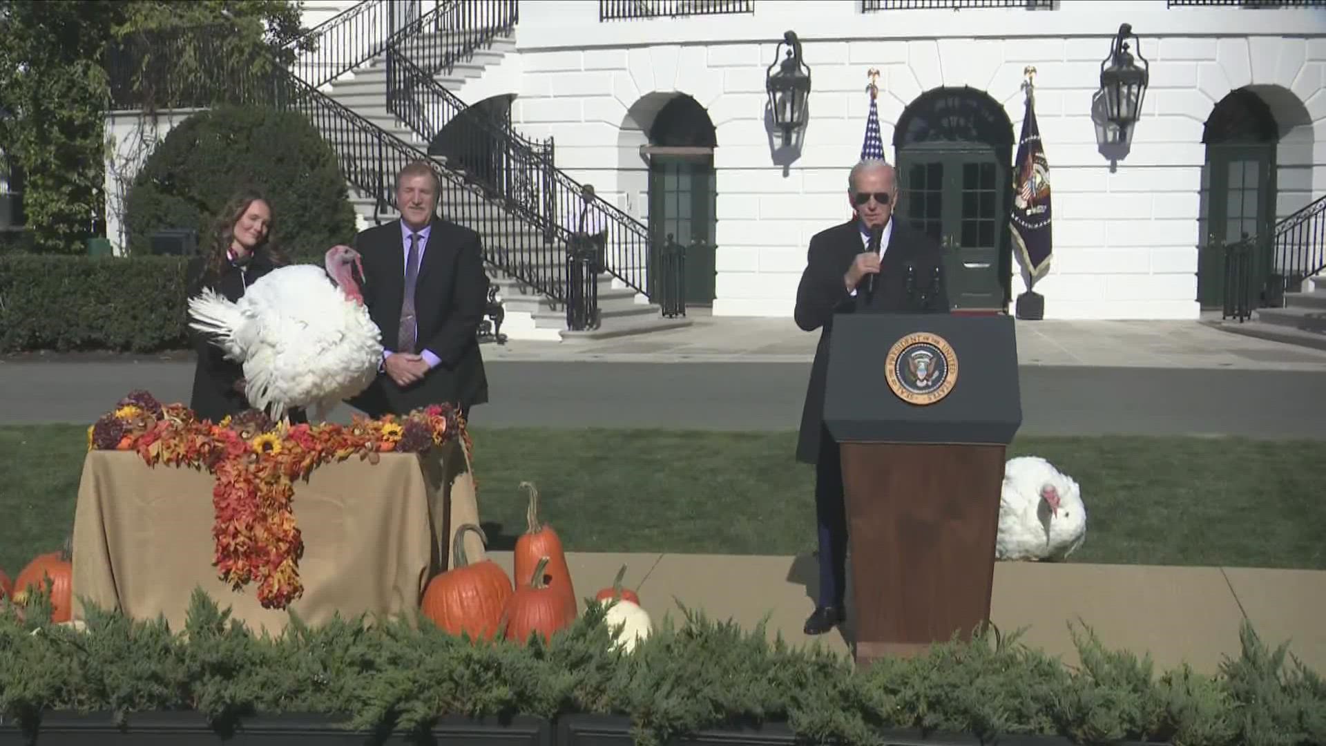 The White House tradition of pardoning one lucky turkey goes back decades, giving presidents the chance for a lighter speech.