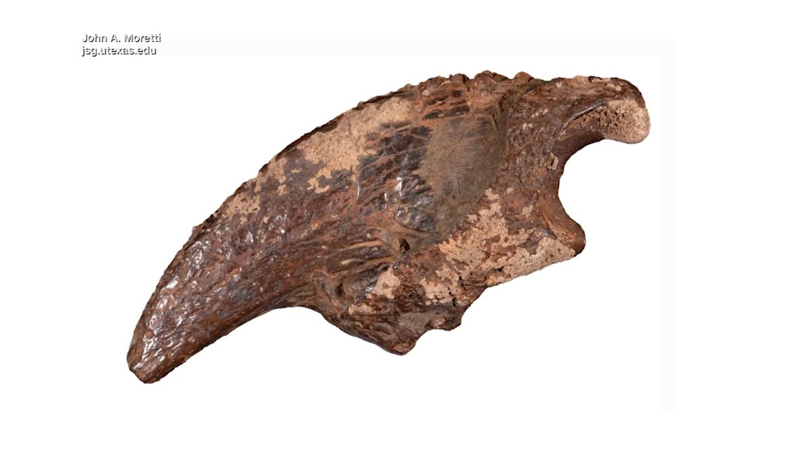 Texas researcher uncovers rare prehistoric fossil site in underwater cave