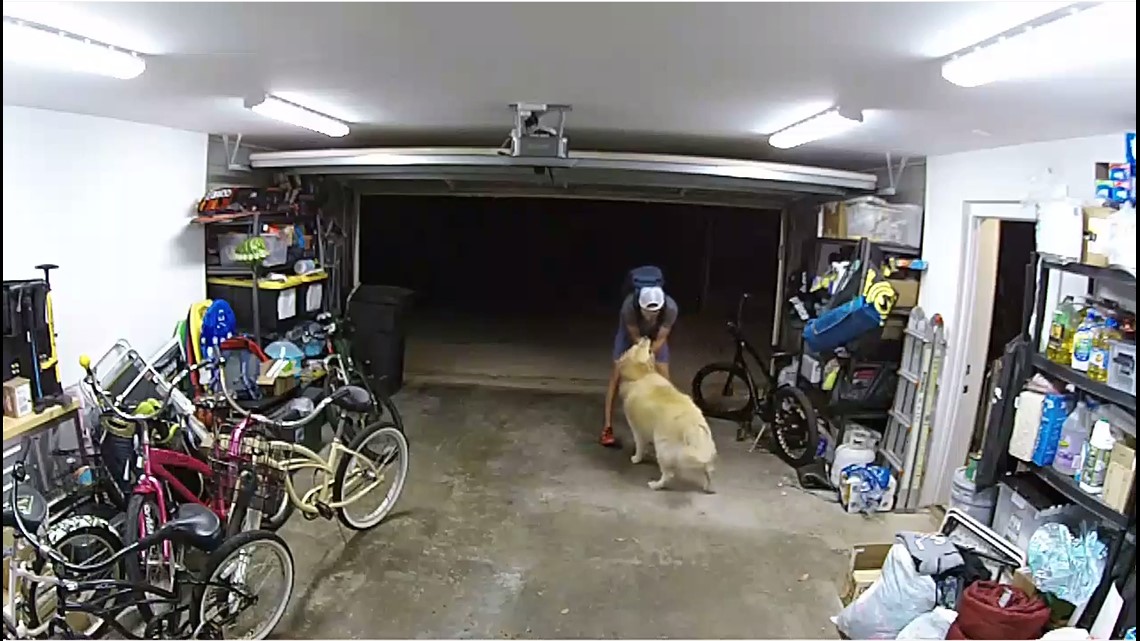 Dog distracts bike thief in San Diego - Vimarsana News