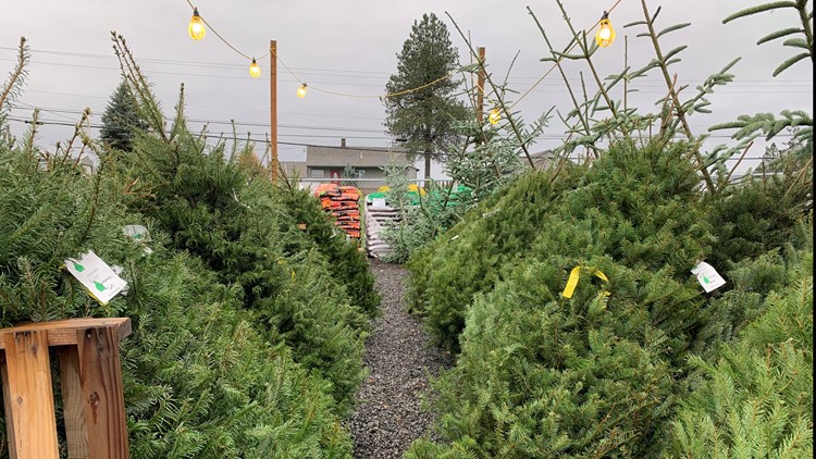 Christmas trees are big business in Oregon and this year prices are up