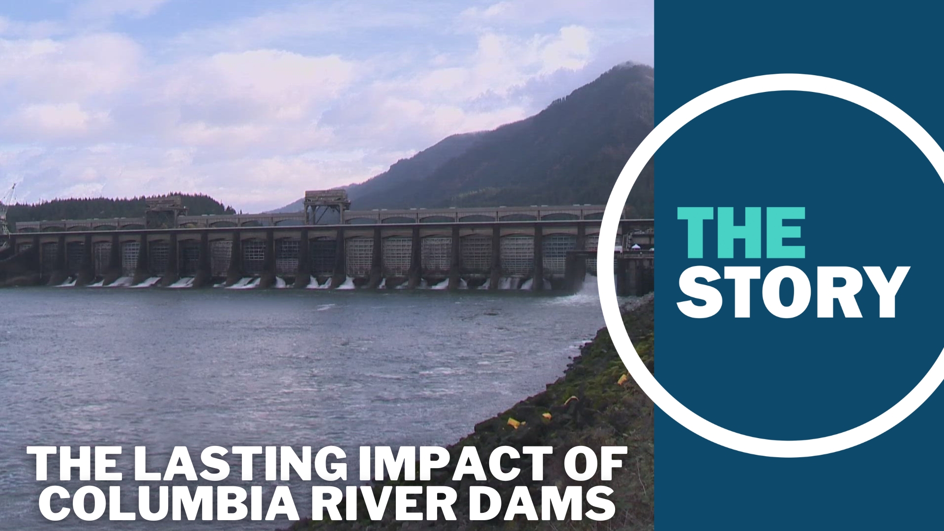 A new report is part of a $1 billion effort from the Biden administration to restore salmon in the Columbia River basin.