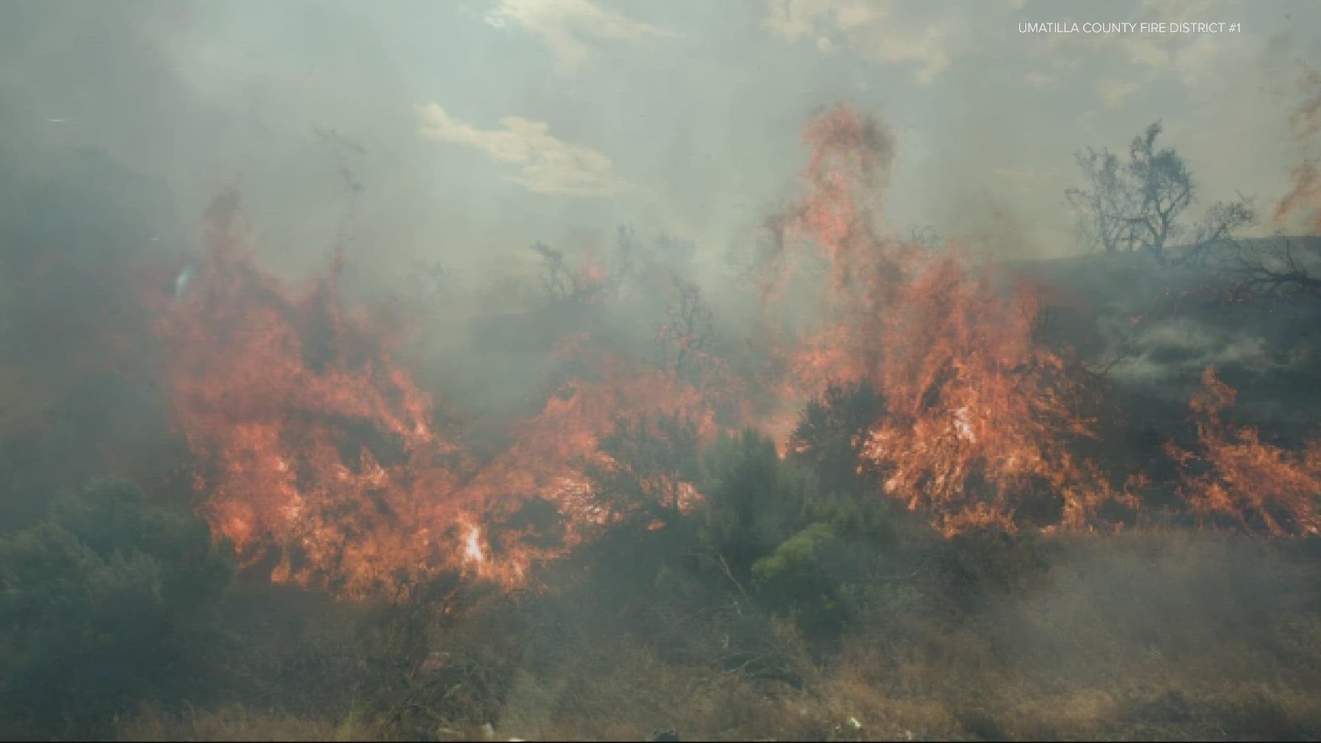 The Oregon State Fire Marshal's office is mobilizing firefighter task forces to help protect homes threatened by Hat Rock and the nearby Mount Hebron fire.