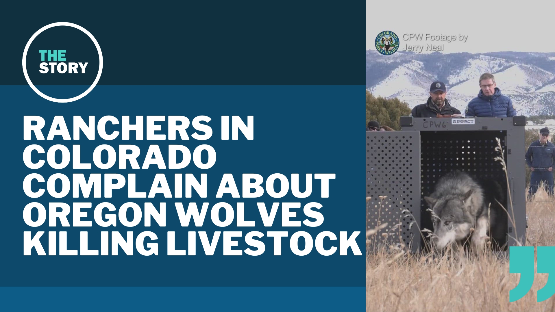 Colorado officials said they'd relocate the pack after depredations, but indicated that this would not always be the case.