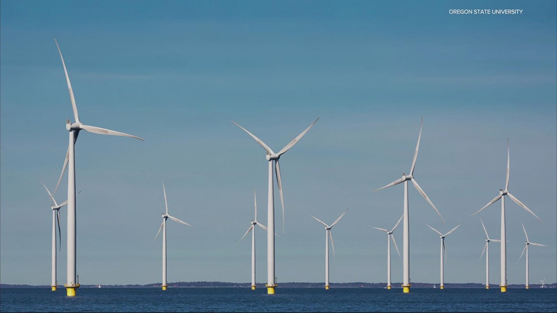 Potential offshore wind power areas shock Oregon fishing industry - Vimarsana News