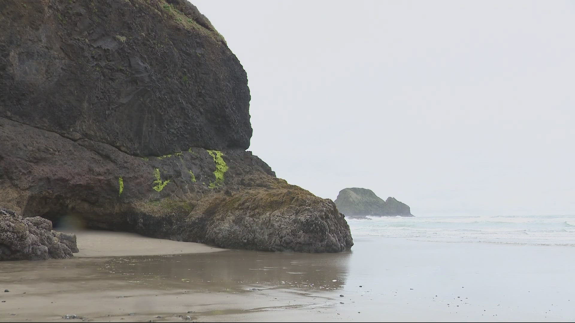 Almost two dozen people have been hospitalized with symptoms of “paralytic shellfish poisoning.” All mussel harvesting and most clam harvesting is paused.