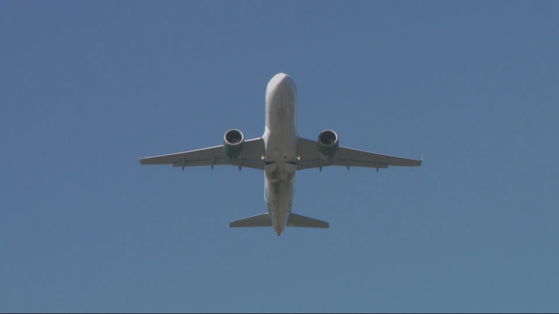 A certain material found in types of plants, like corn or certain trees, can be used to fuel planes.