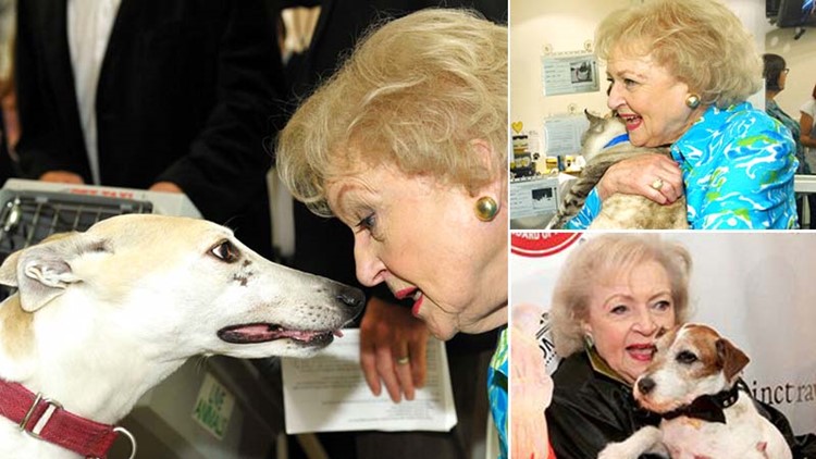#BettyWhiteChallenge | Fans encouraged to donate to animal shelters to honor iconic actress