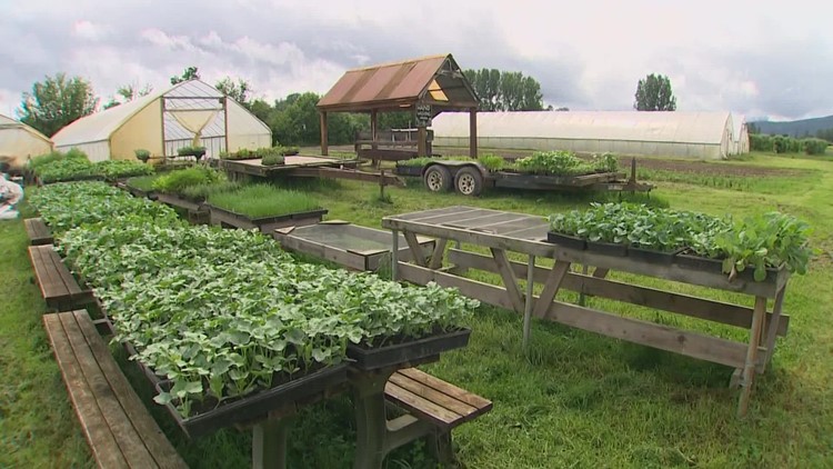 Heavy rain season leaves Washington farmers with significant challenges