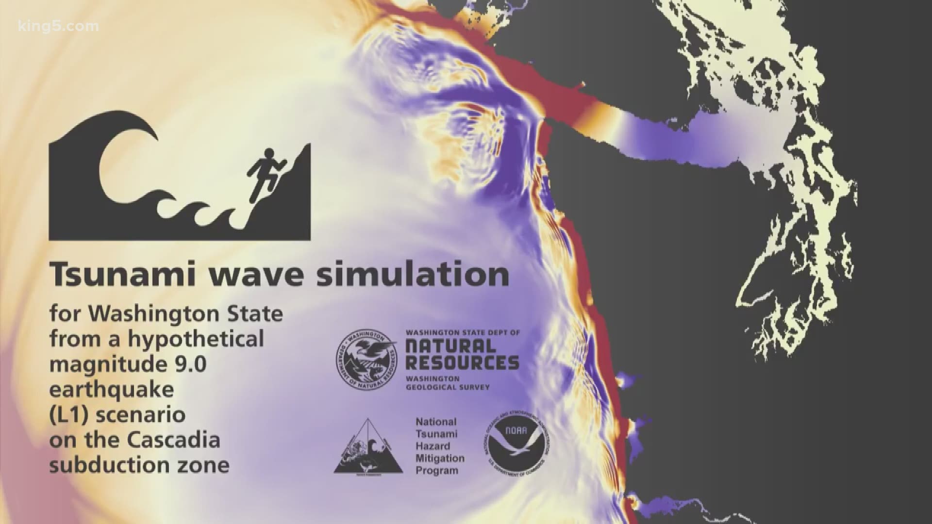 A look at the impact a tsunami triggered in Alaska could have in western Washington.