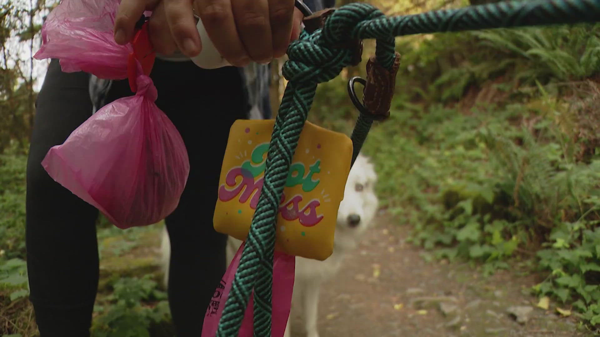 Those compostable bags for your pet's poop aren't as green as you might think.