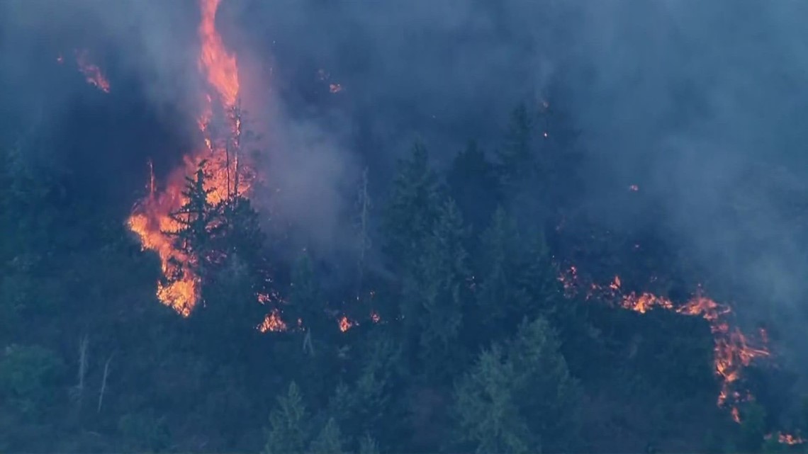 250-acre brush fire near Shelton threatens homes, forces evacuations - Vimarsana News