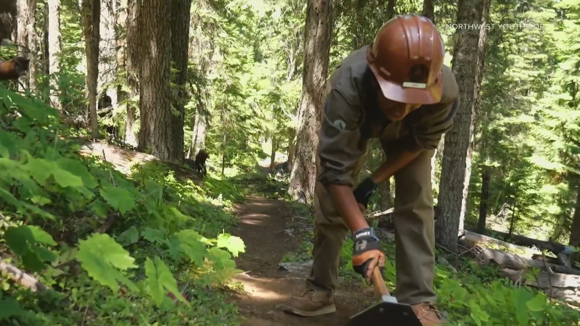 The campaign chose Seattle as one of the cities to focus recruitment efforts. Climate change and increased visitation to national parks are reasons for the push.