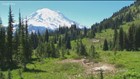 Washington's top 3 wildflower hikes from PNW guidebook author Craig Romano - KING 5 Evening