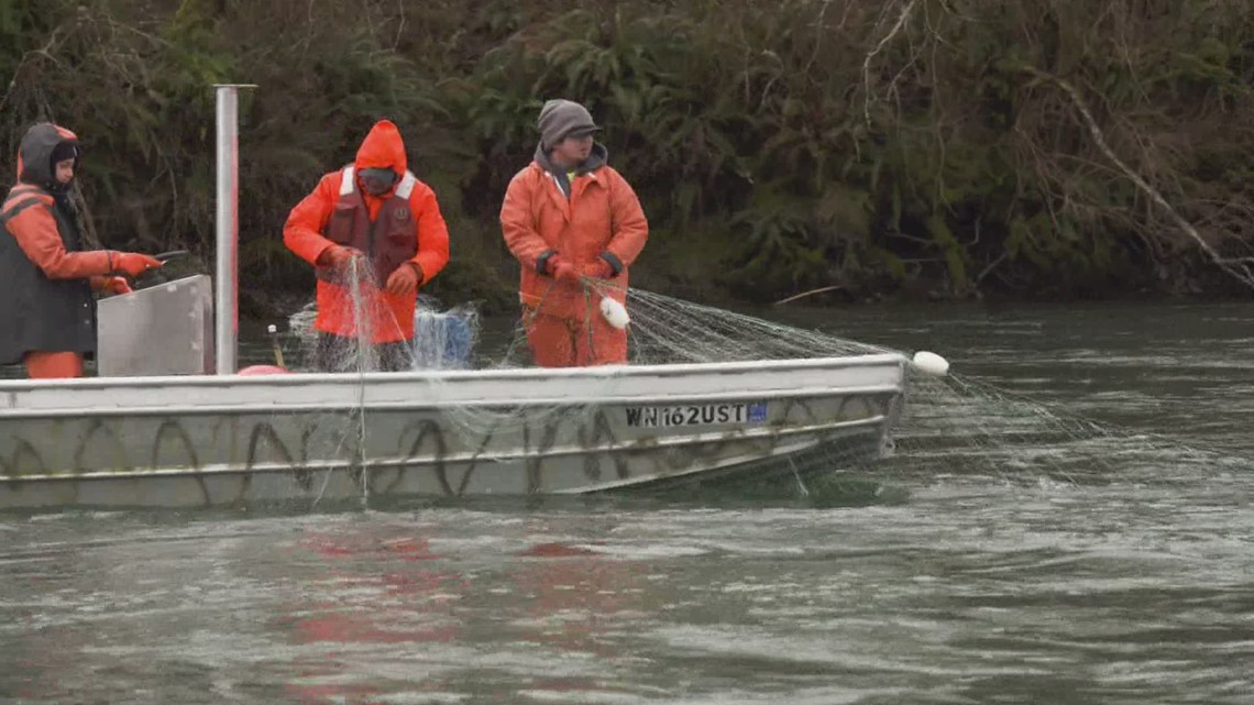 Blaming tribal fishing practices for decline in salmon is