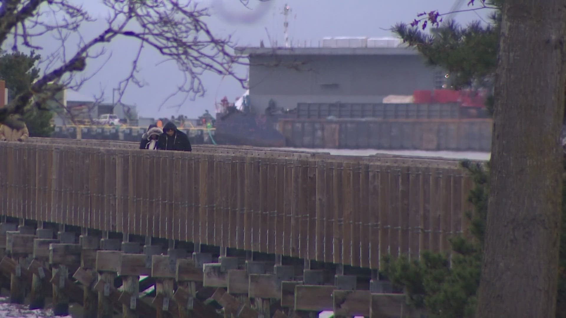 Brutally cold temperatures and powerful wind gusts have hit Whatcom Co.  Officials are advising people to stay inside, if possible.