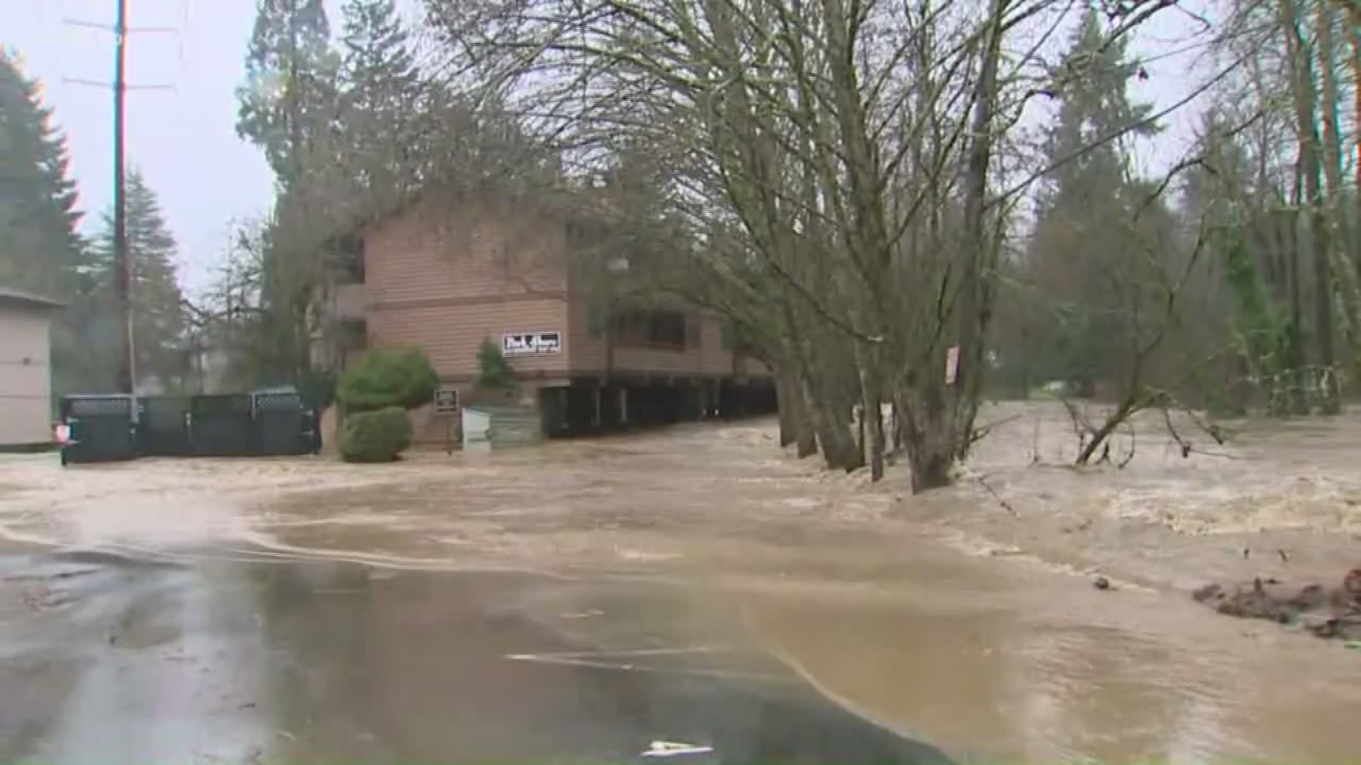 Crews rescued nearly a dozen people who were trapped in floodwaters at an Issaquah apartment complex.