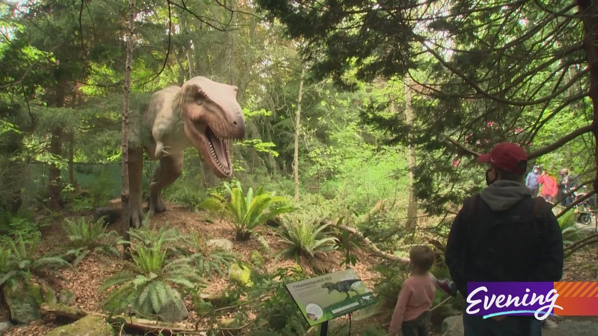 Dinosaur Discovery brings ancient reptiles to life with animatronics.