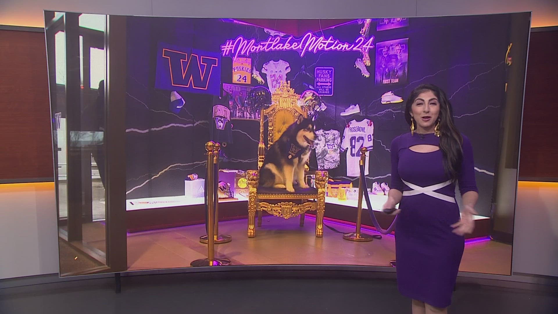 Dubs II is the 14th live mascot representing the University of Washington. The tradition started back in the 1920s. What makes Dubs II so special? KING 5 finds out.