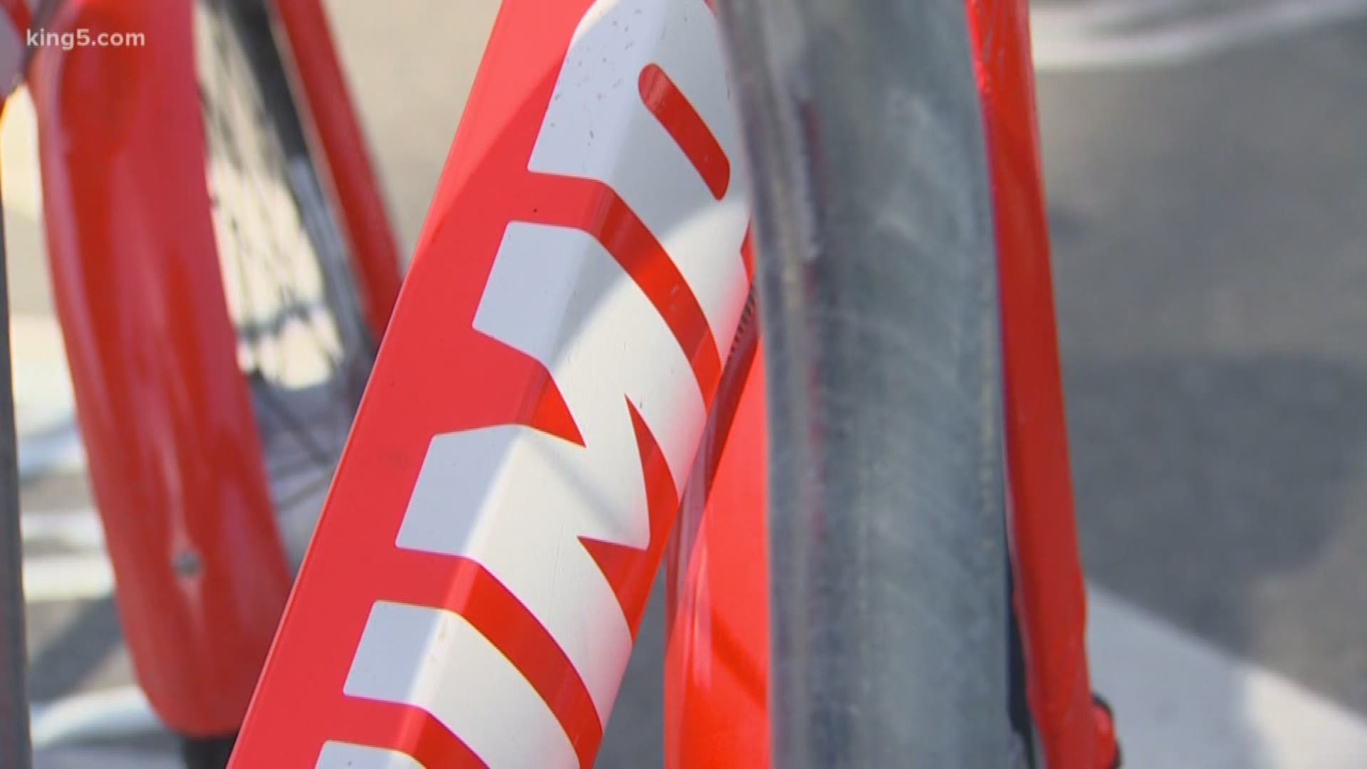 The City of Seattle has told bike share companies to reduce their fleet by 1,000 bikes and reduce clutter on city streets. KING 5's Natalie Swaby reports.