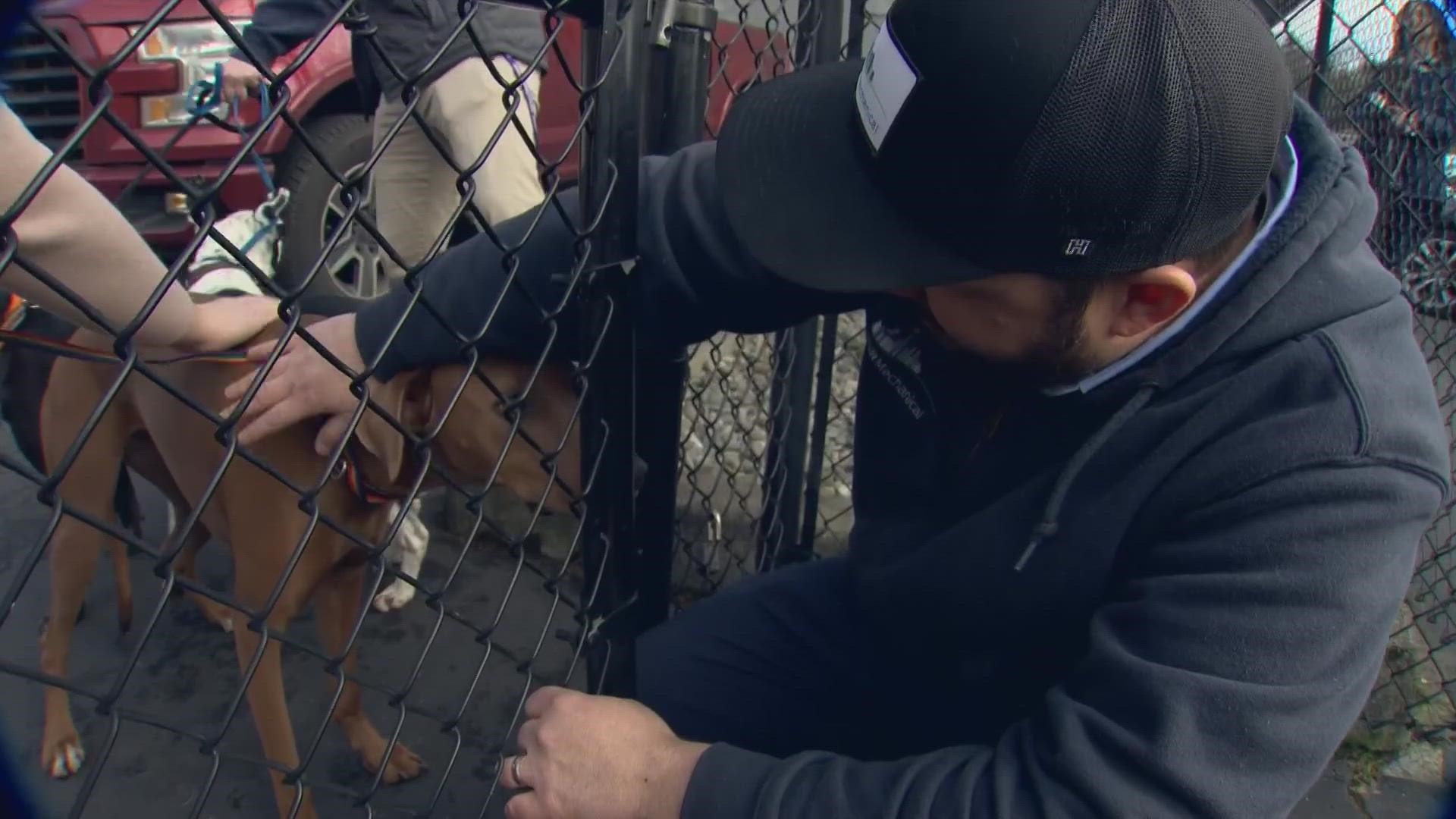 When a fire broke out at The Dog Resort in Lake City, workers at area businesses pitched in to corral, house and reunite almost 100 dogs with their owners