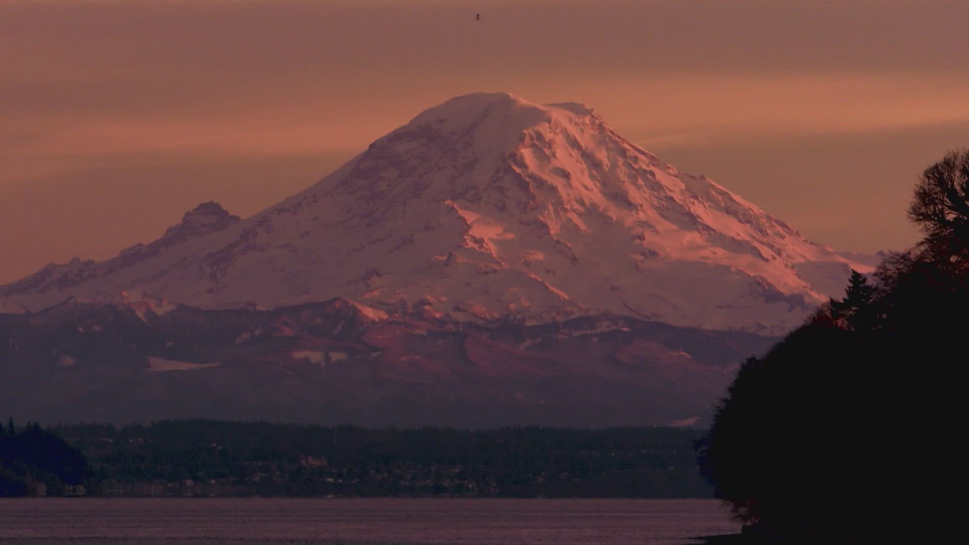 The Mount Rainier National Park will be requiring visitors entering the park through popular entrances to make reservations during peak hours this summer