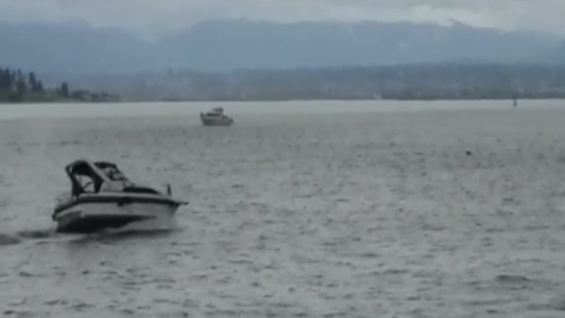Boat hits whale near Whidbey Island