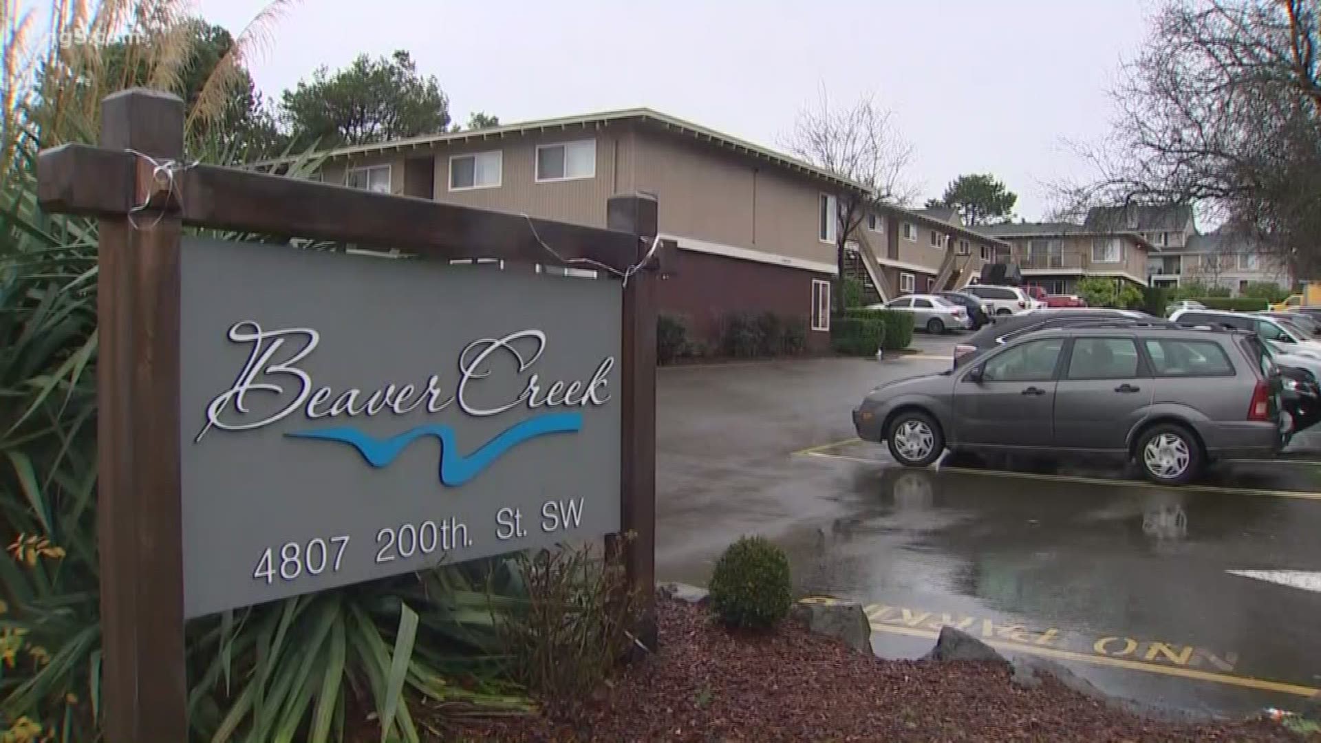 Fourteen people are out of their apartments in Lynnwood after flood waters rushed inside Friday.