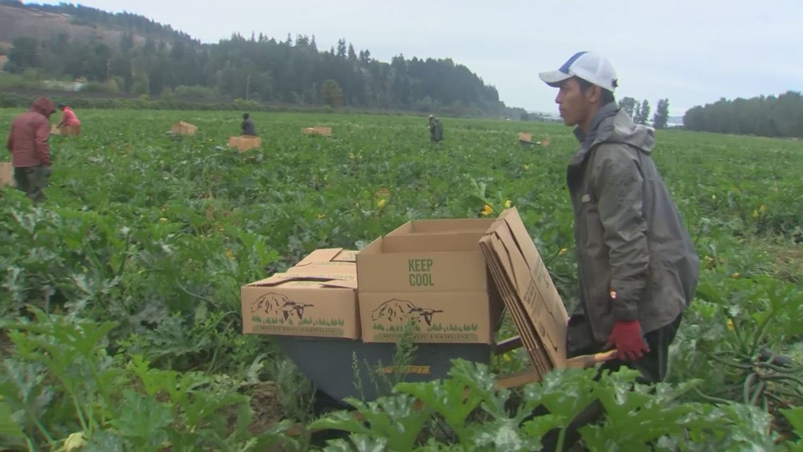 Farm workers fight new overtime law in Washington - Vimarsana News