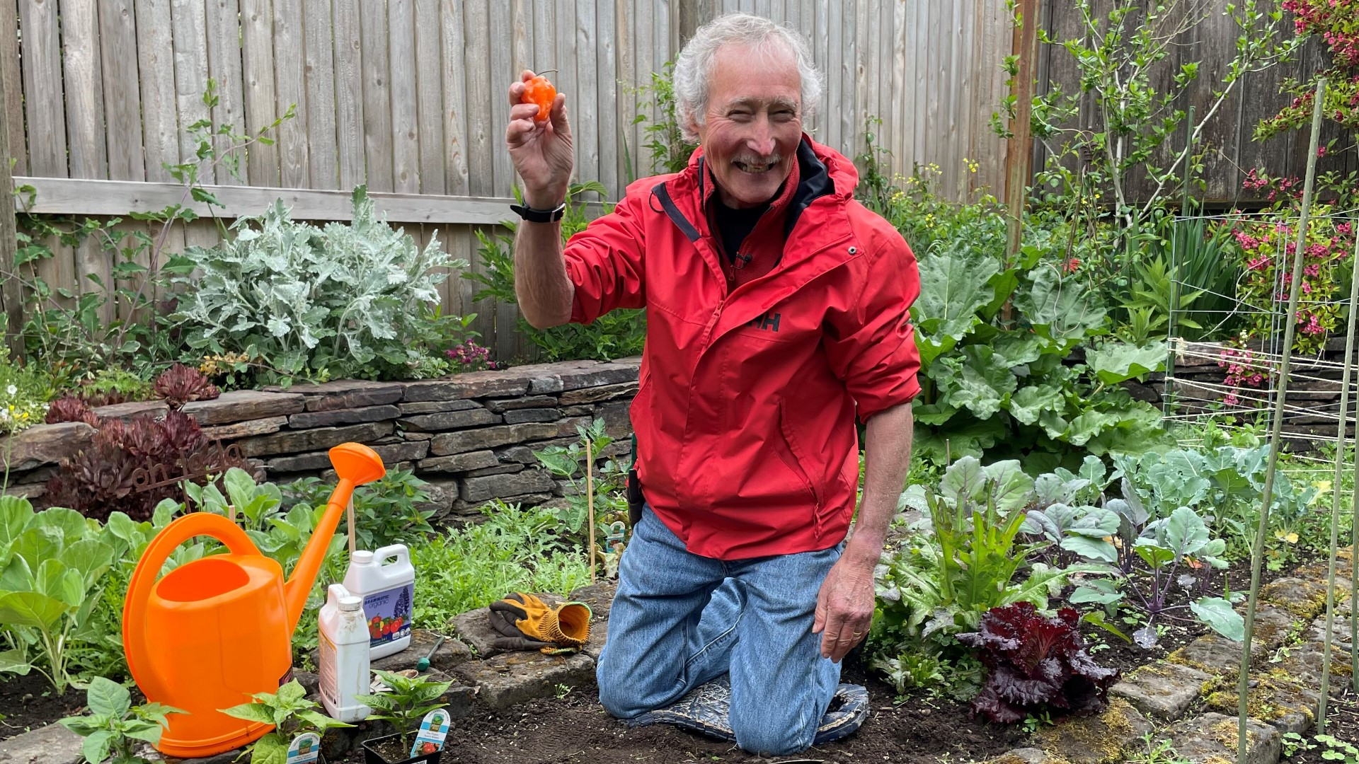 Try this tip from gardening expert Ciscoe Morris to bring the heat. Sponsored by Dramm