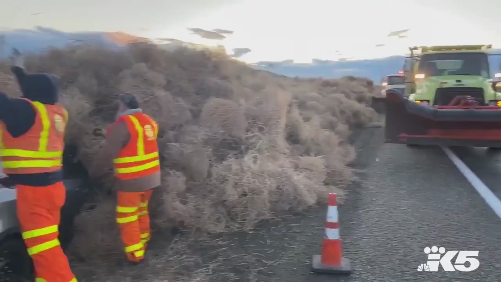 Video Tumbleweed close down highway in Benton County