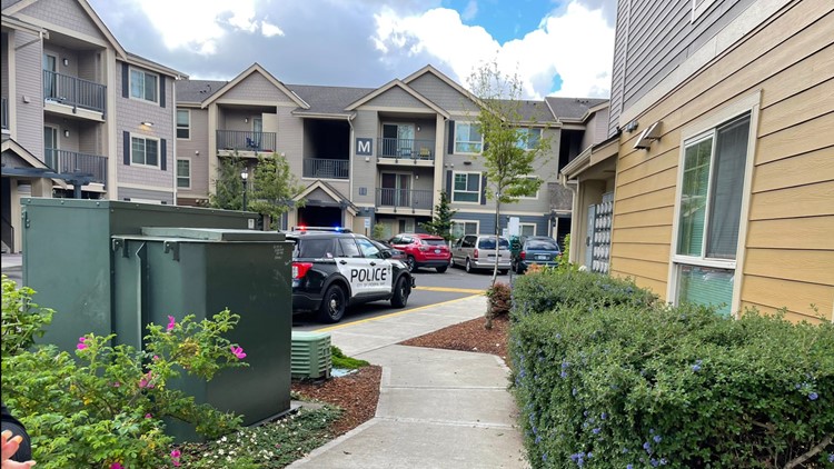 8-year-old shoots 9-year-old brother with handgun in Federal Way, police say