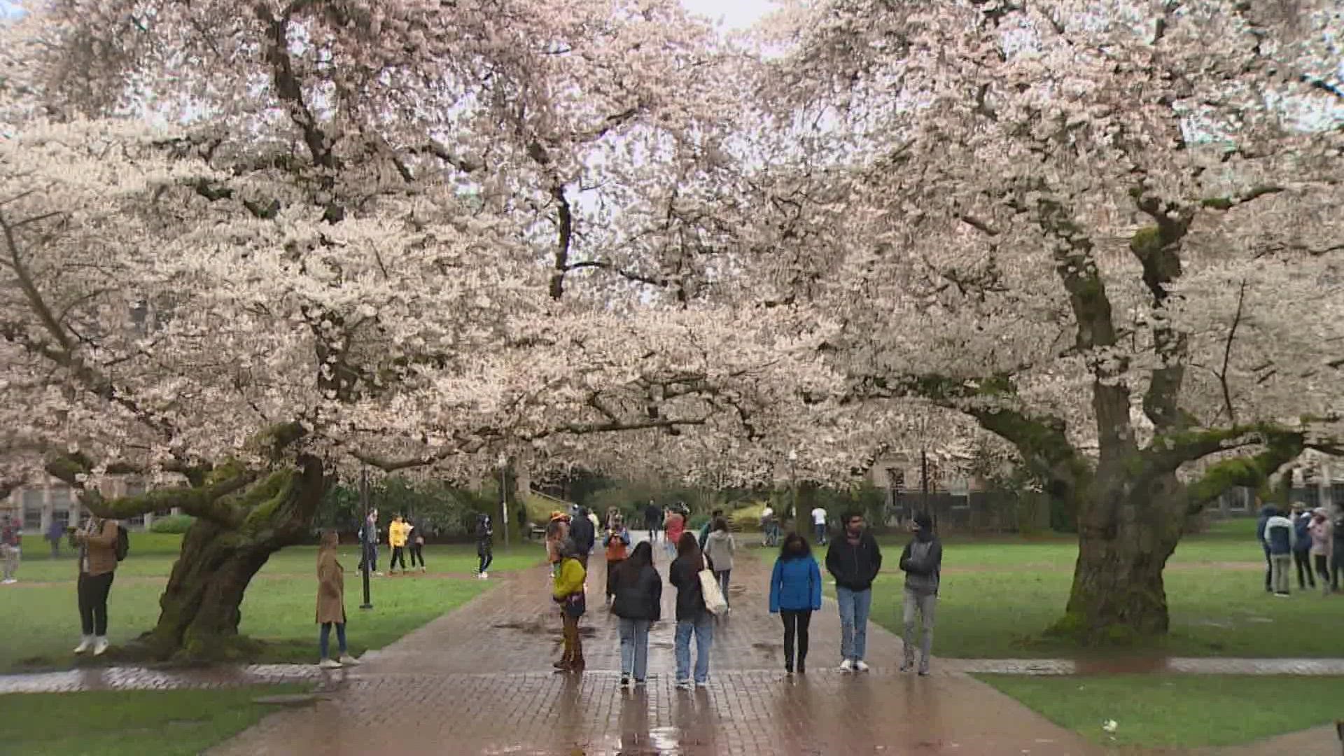 The University of Washington is inviting visitors back to the Quad for the first time since the start of the pandemic.