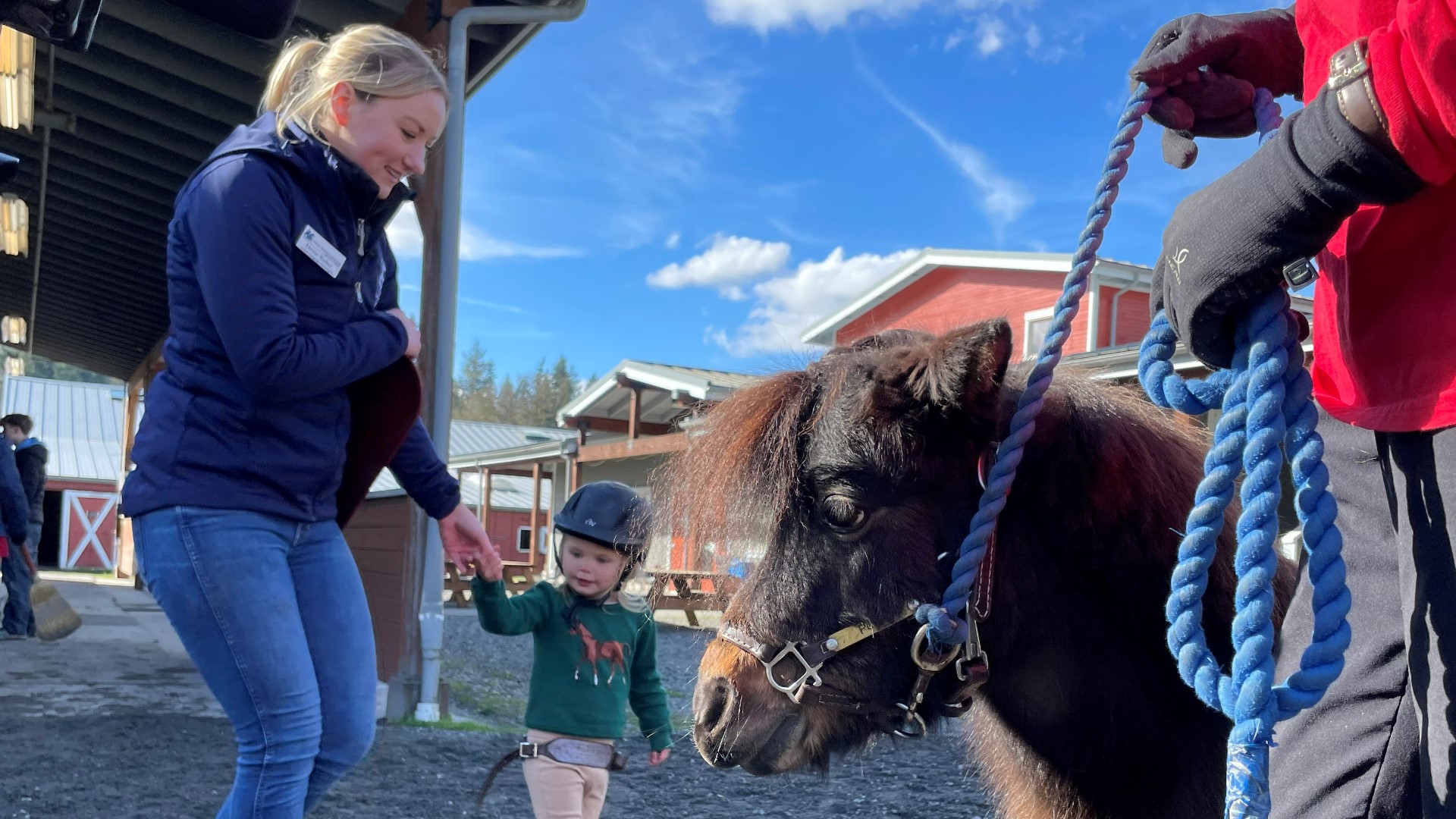 Horse Therapy helps little girl with autism communicate