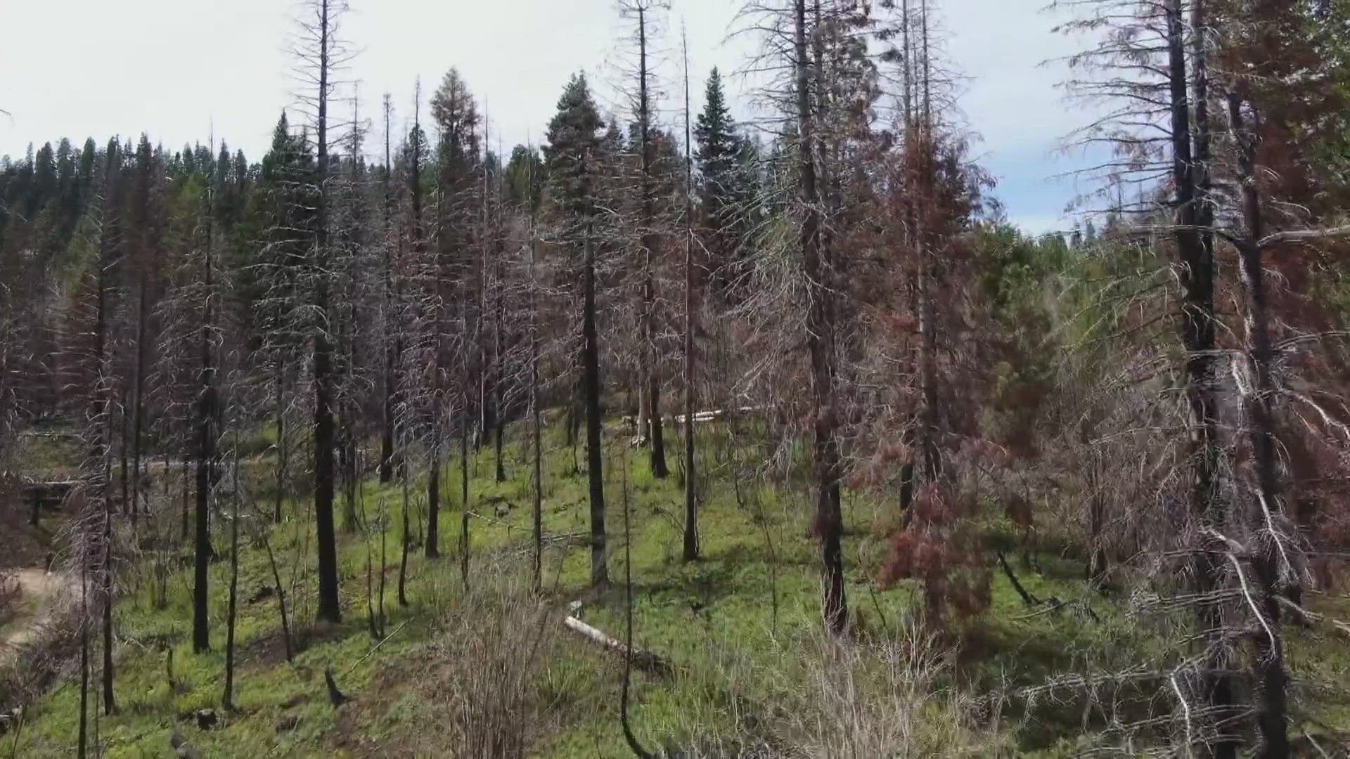 How Idaho fire officials keep people safe after a fire and how long it takes for landscapes to recover.