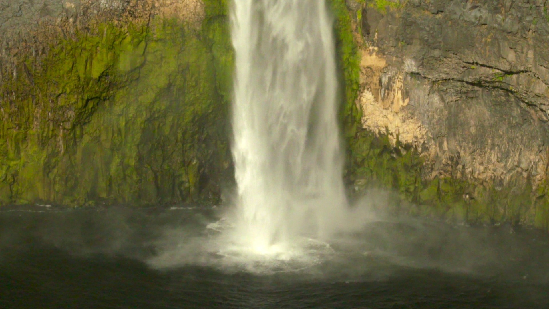 Palouse Falls plunges nearly 200 feet, and thousands of years back in time. #k5evening