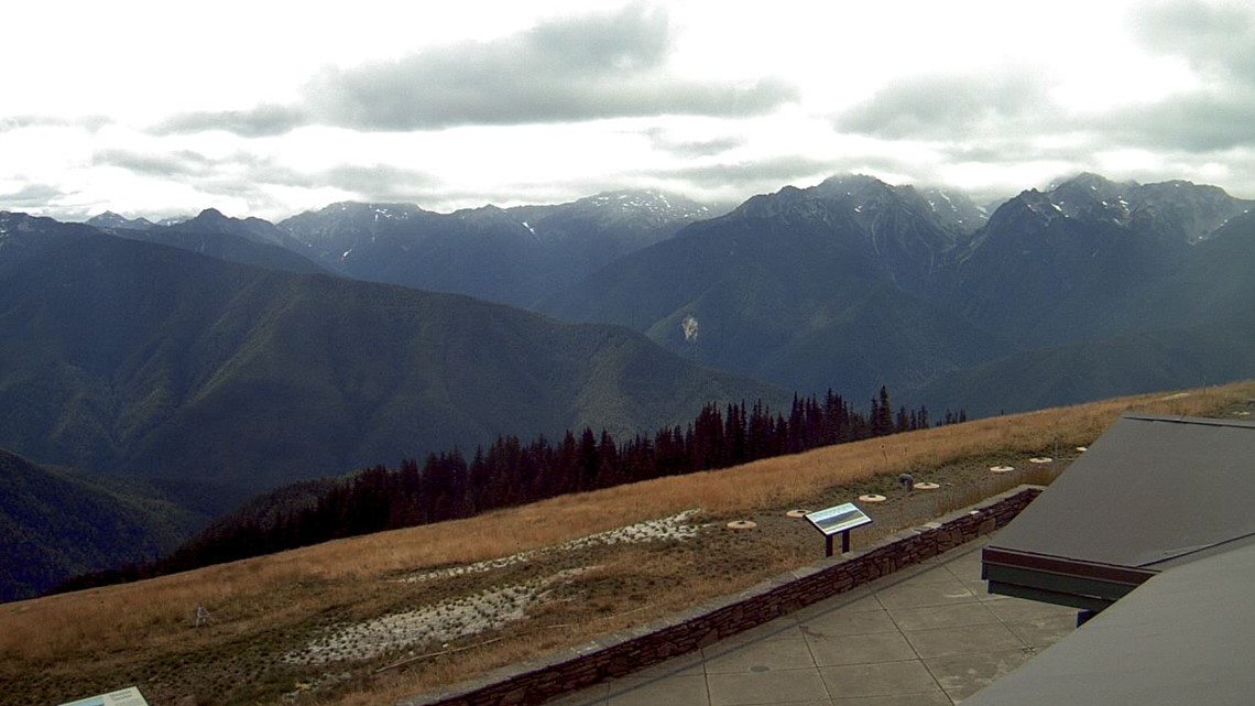 Man who prompted Olympic National Park evacuation pleads guilty - Vimarsana News