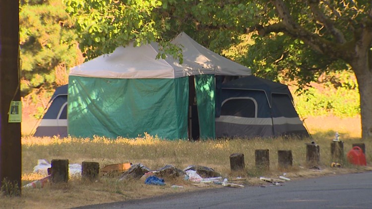 'We must reject status quo:' Seattle mayor reveals homelessness action plan to combat crisis