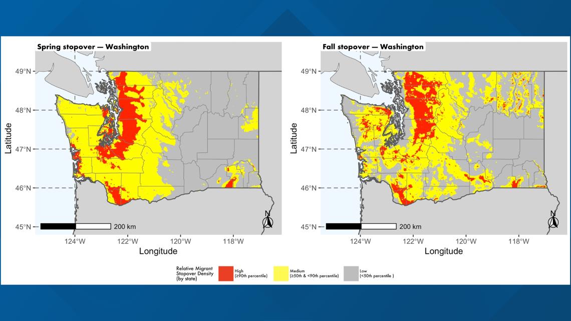 Dramatic rise in bird migration over Washington state prompts 'Lights Out' efforts to protect millions