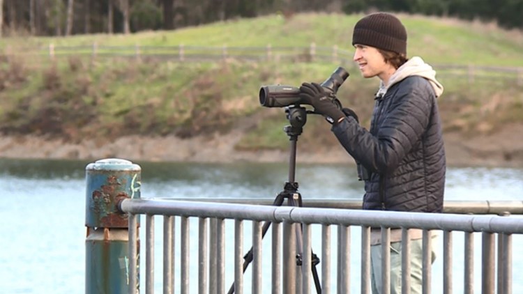 'It's a total rush!': Birder breaks state record by spotting 376 different species in a single year