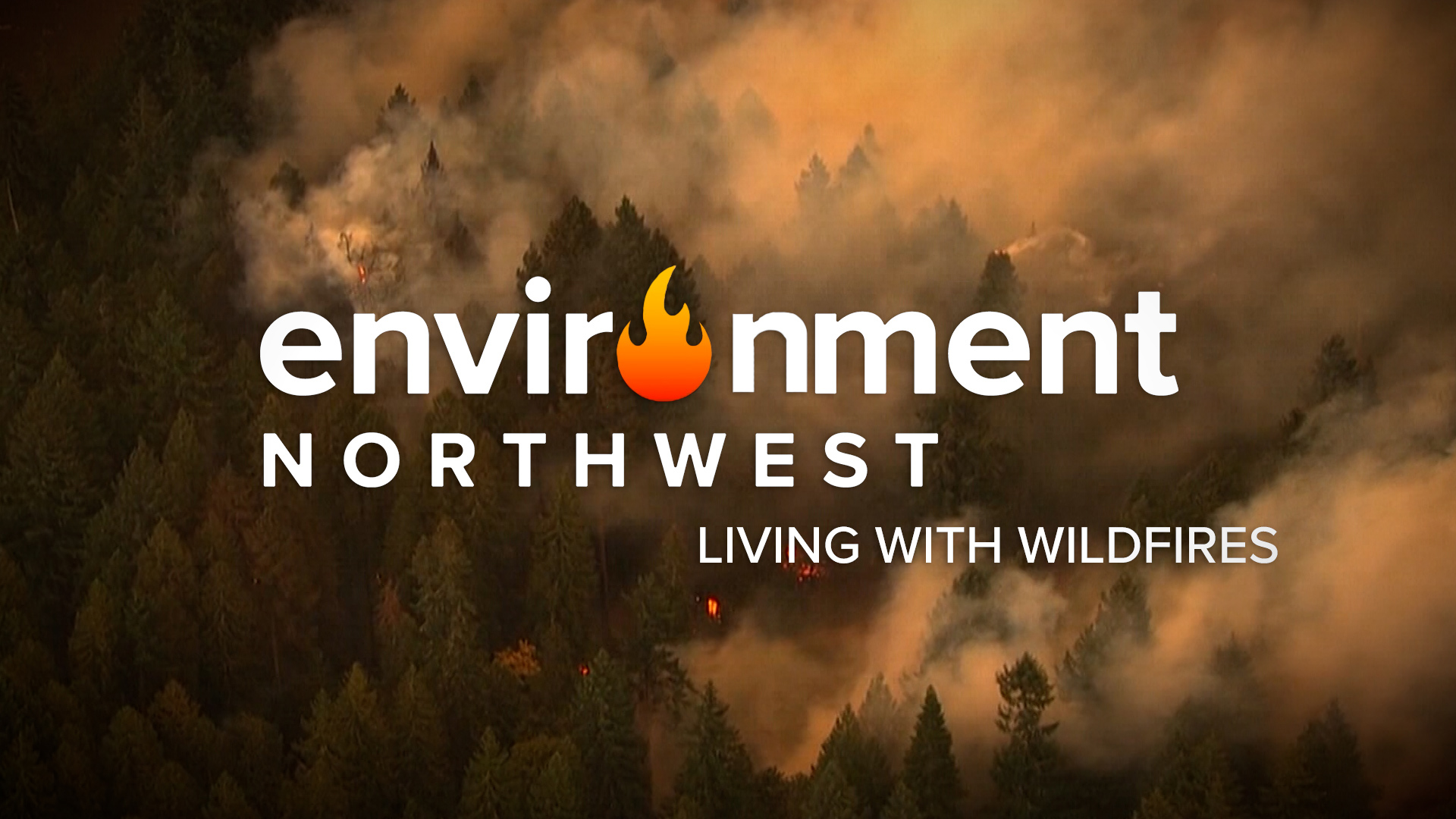 The Environment Northwest teams looks at the causes, the effects and the rebuilding process following the Northwest's devastating wildfires.