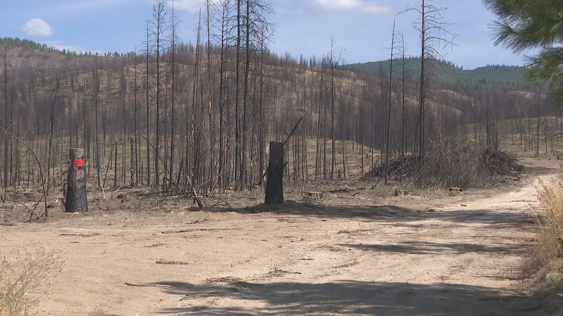 Recovery efforts are still going strong in both Elk and Medical Lake after the devastating fires just over one year ago.