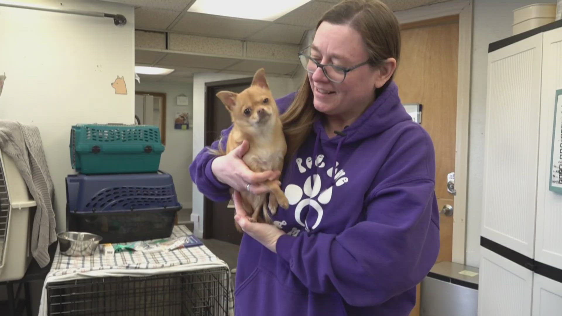 Rising gas prices slow SpokAnimal rescue trips and operations