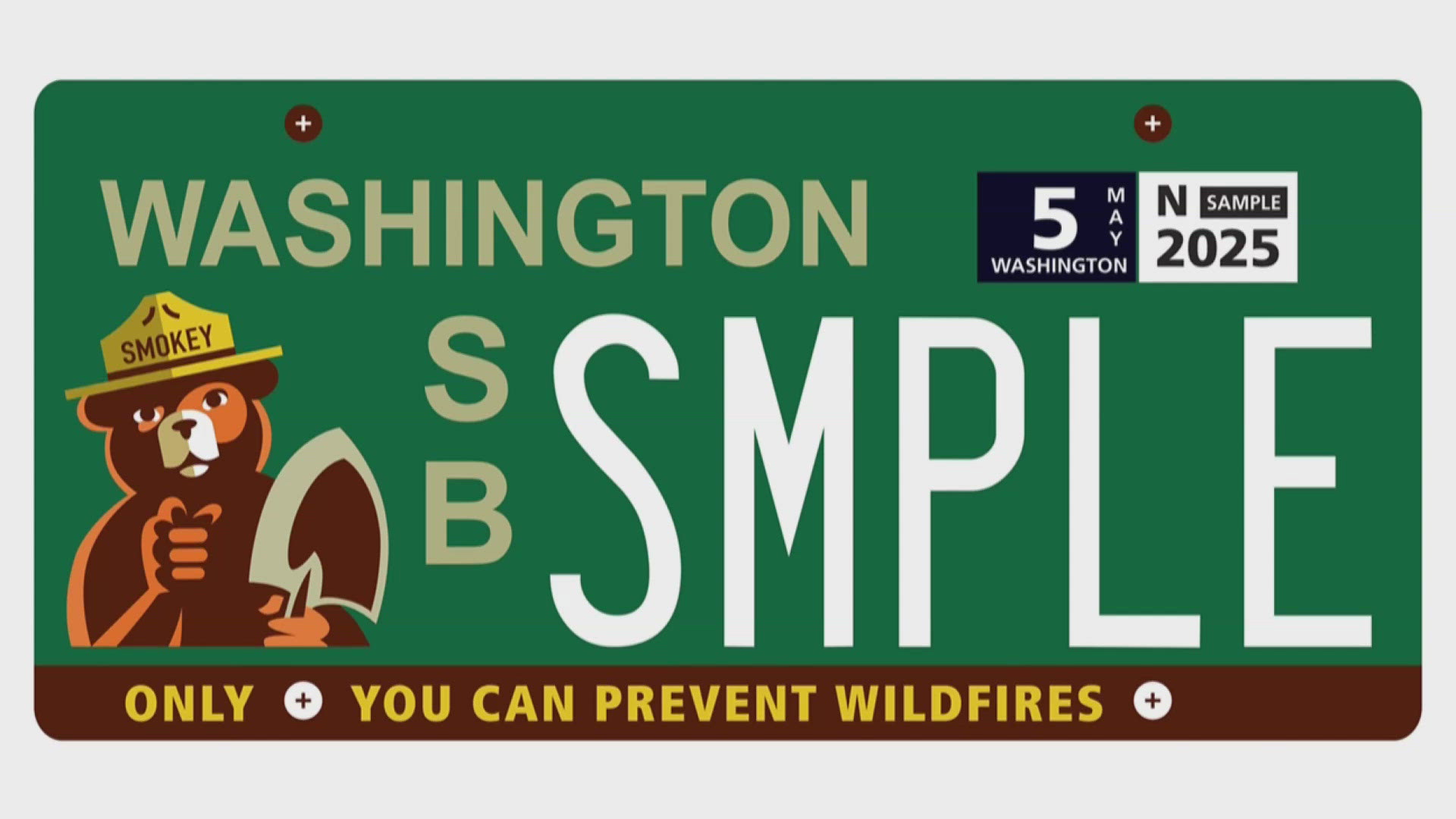 The proceeds of the Smokey Bear license plate will go to Washington DNR's wildfire prevention programs. 