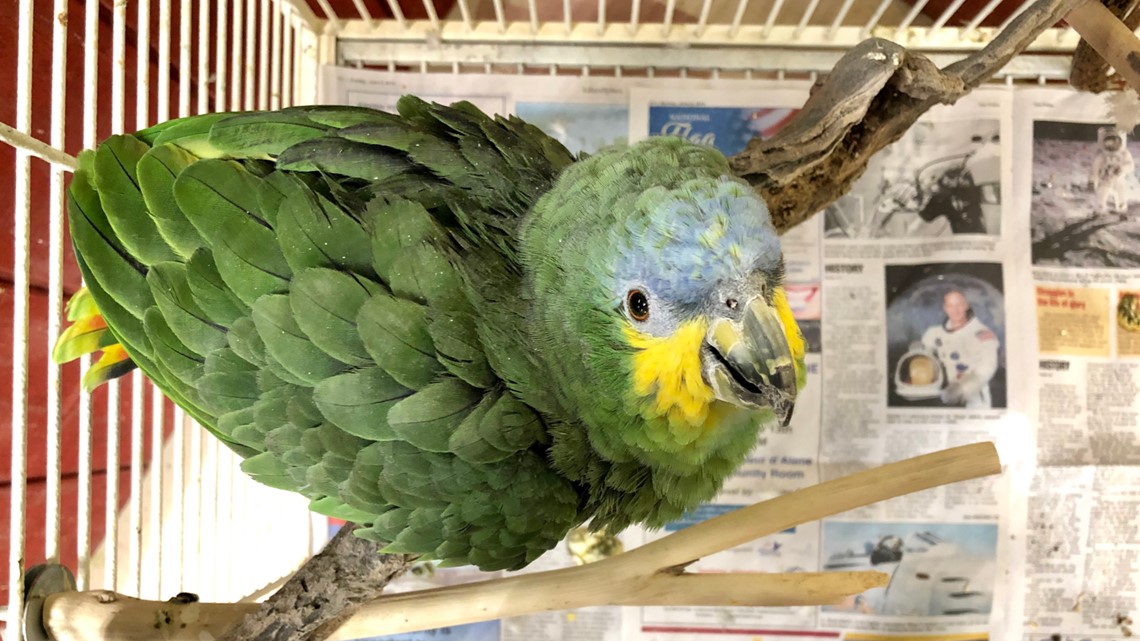 Big Red's Barn in Coeur d'Alene offering new attractions this summer