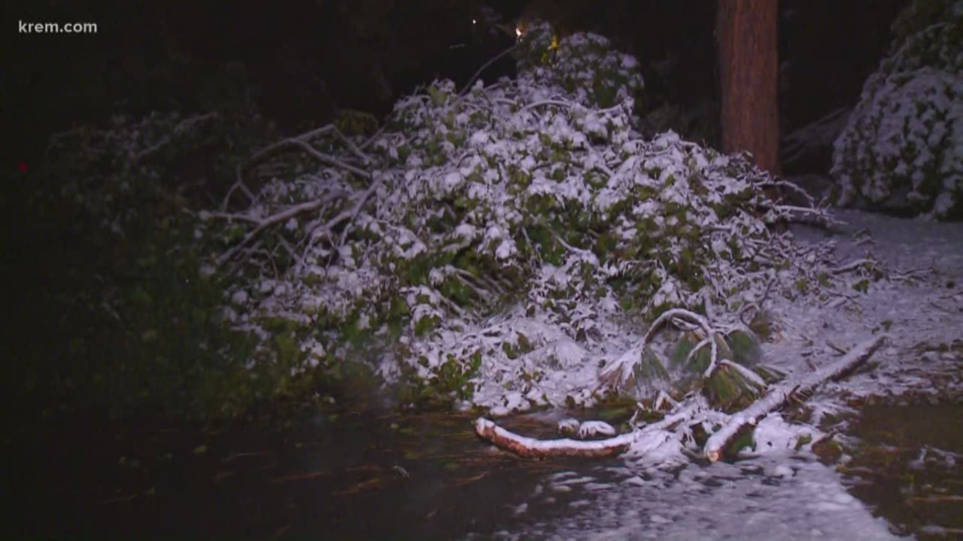 We are tracking record-breaking snowfall, downed trees and power outages on Oct. 9 after an overnight storm.