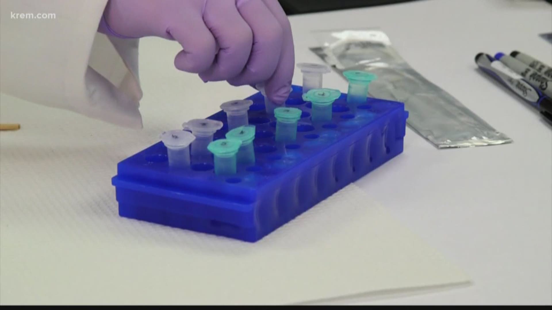 KREM Reporter Alexa Block spoke with officials about a new bill funding more resources for rape kit testing in Washington.