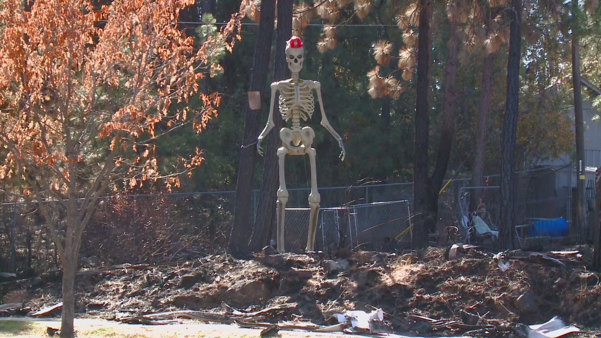 A 12-foot skeleton on Southeast Boulevard has been stolen, according to the owner.